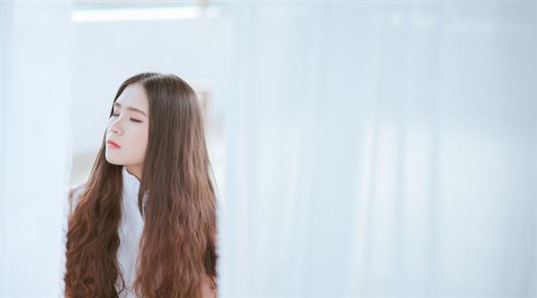 石家莊東方學(xué)院都開設(shè)了哪些專業(yè)？