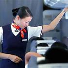 航空服務(wù)（票務(wù)、安檢方向）、航空乘務(wù)定向委培