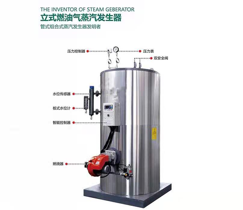 燃?xì)馊加驼羝l(fā)生器